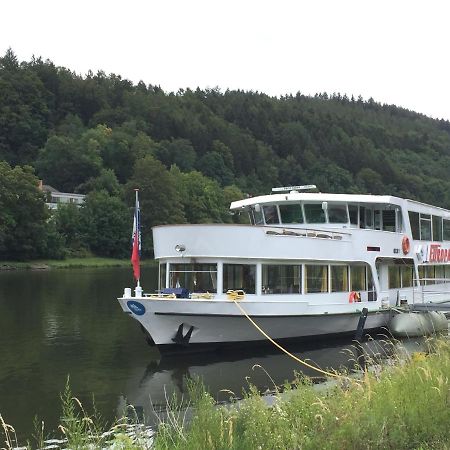 Natur Und Neckarblick Bei Heidelberg 히르슈호른 외부 사진
