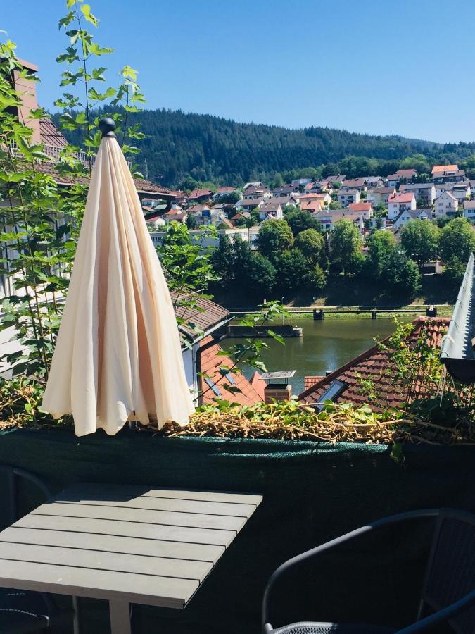 Natur Und Neckarblick Bei Heidelberg 히르슈호른 외부 사진