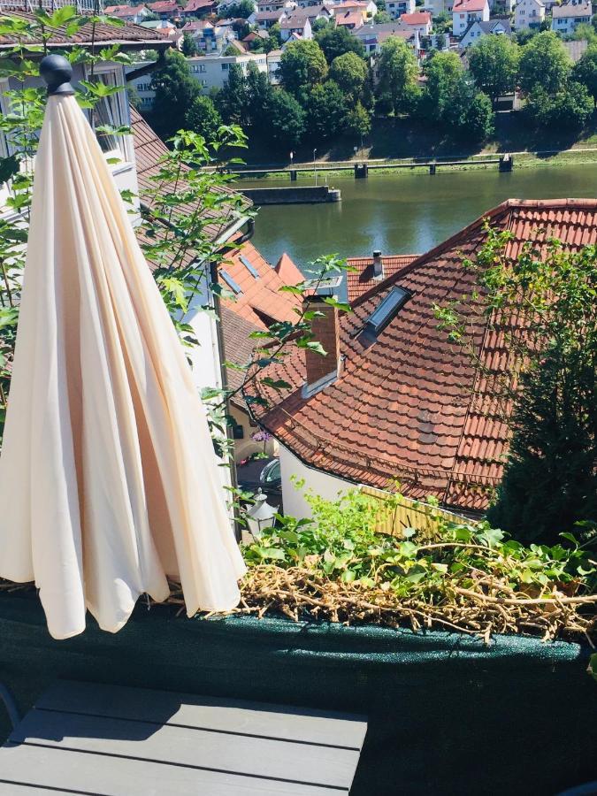 Natur Und Neckarblick Bei Heidelberg 히르슈호른 외부 사진