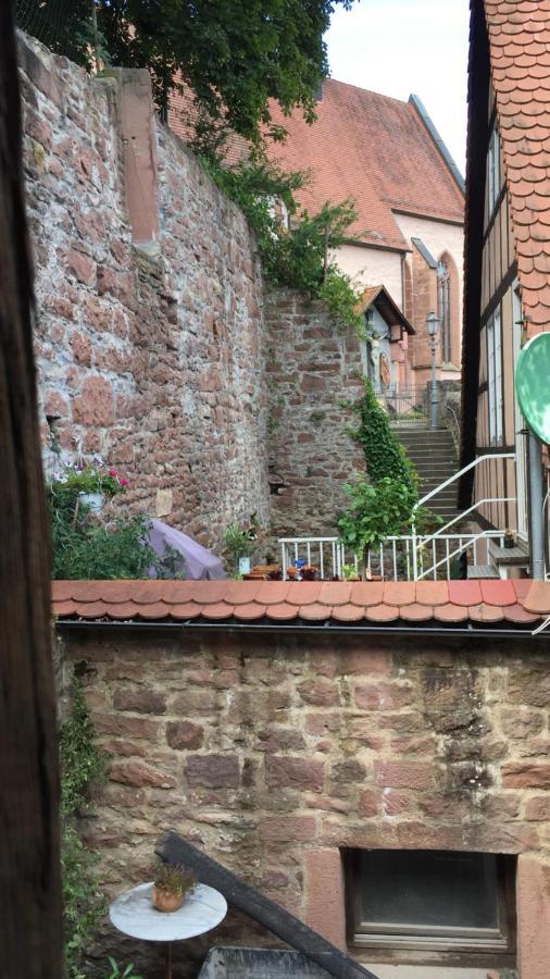 Natur Und Neckarblick Bei Heidelberg 히르슈호른 외부 사진