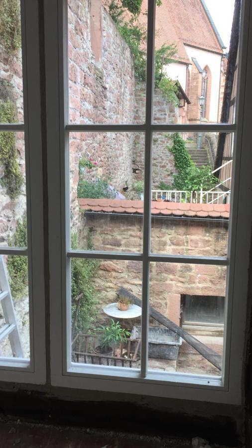 Natur Und Neckarblick Bei Heidelberg 히르슈호른 외부 사진