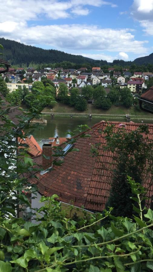 Natur Und Neckarblick Bei Heidelberg 히르슈호른 외부 사진