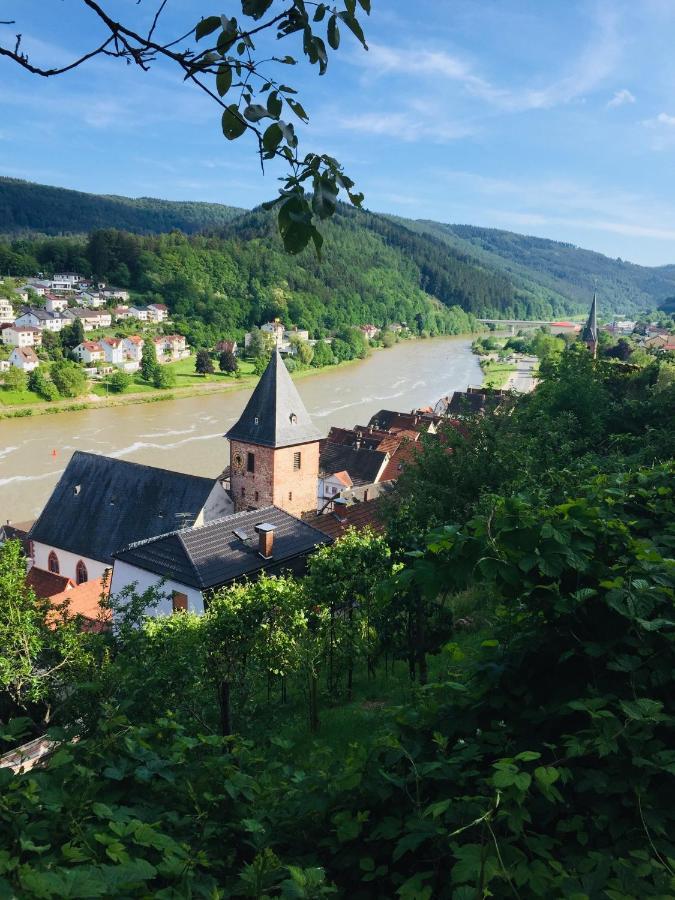 Natur Und Neckarblick Bei Heidelberg 히르슈호른 외부 사진