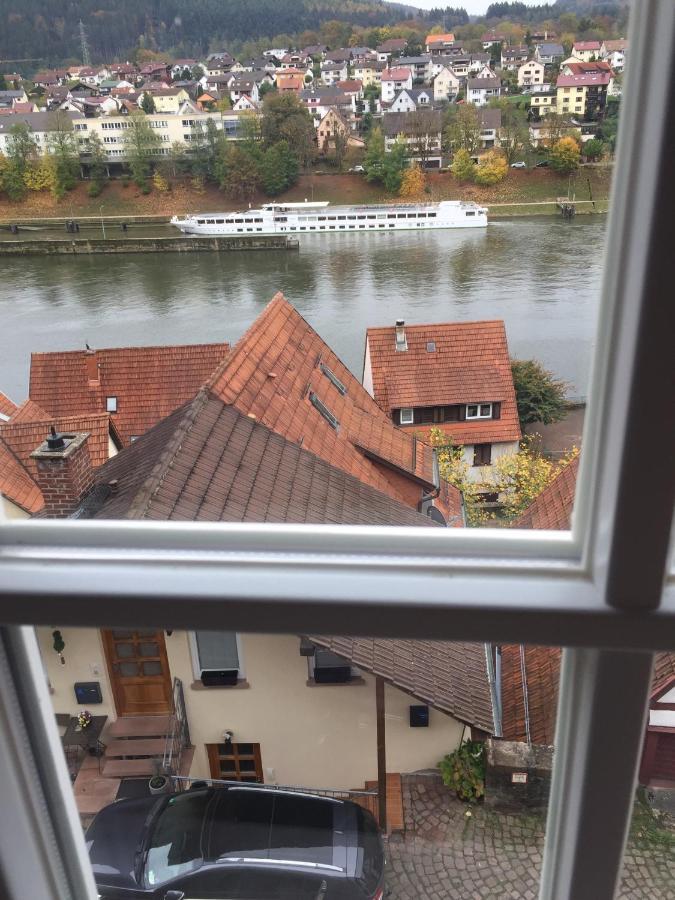Natur Und Neckarblick Bei Heidelberg 히르슈호른 외부 사진