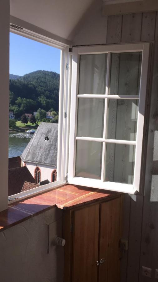 Natur Und Neckarblick Bei Heidelberg 히르슈호른 외부 사진
