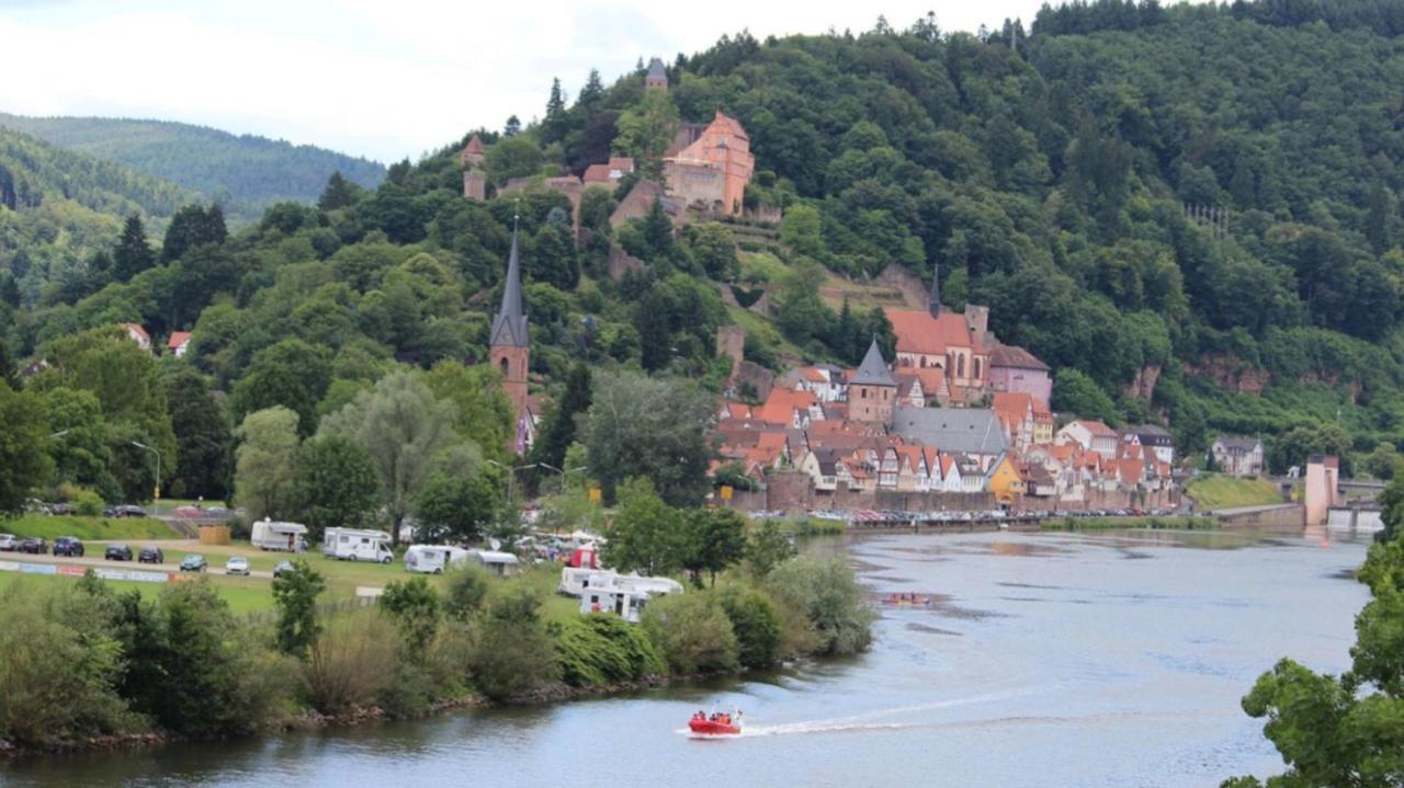 Natur Und Neckarblick Bei Heidelberg 히르슈호른 외부 사진
