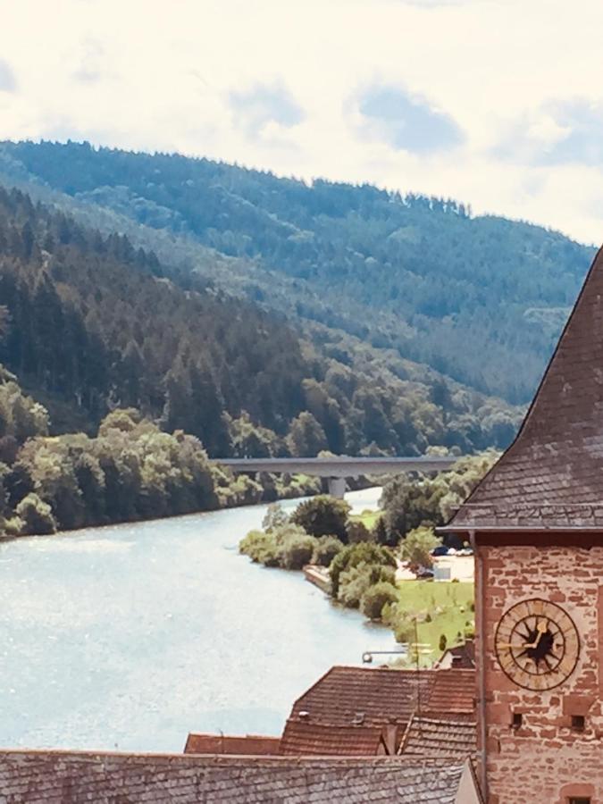 Natur Und Neckarblick Bei Heidelberg 히르슈호른 외부 사진