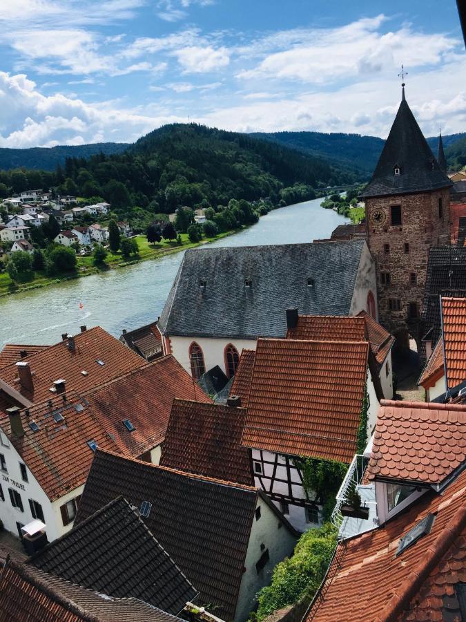Natur Und Neckarblick Bei Heidelberg 히르슈호른 외부 사진