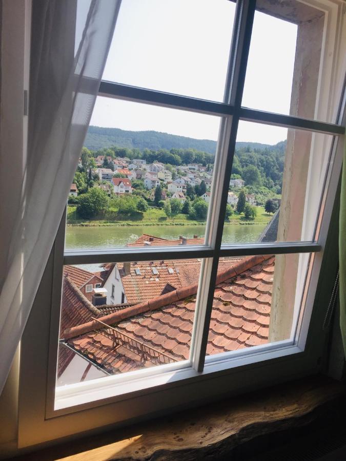 Natur Und Neckarblick Bei Heidelberg 히르슈호른 외부 사진