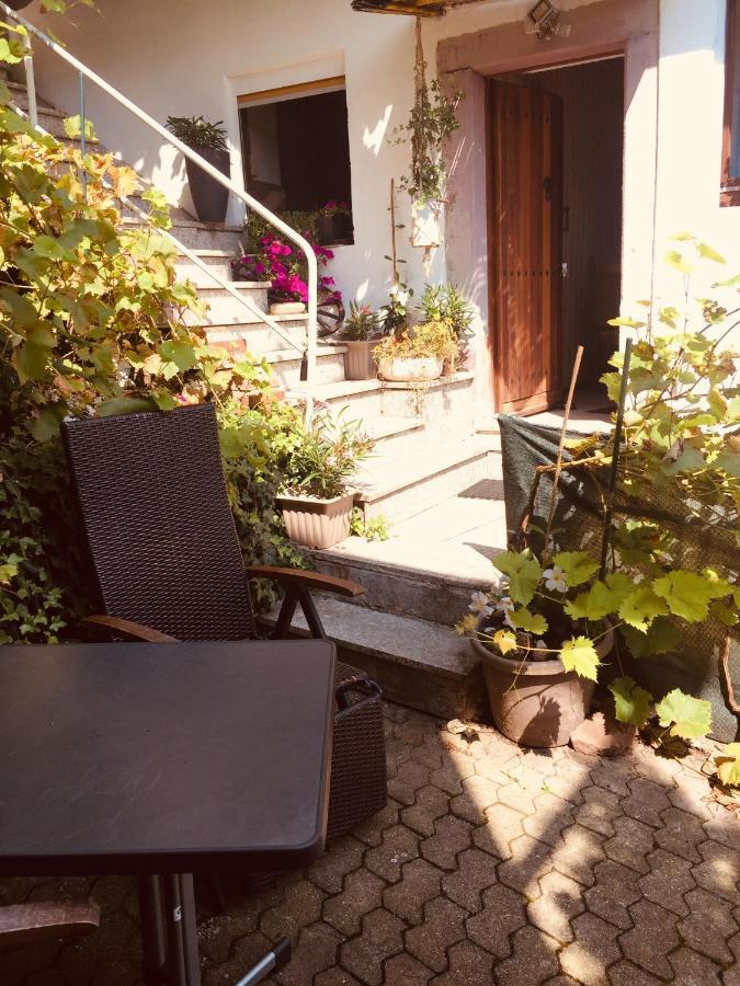 Natur Und Neckarblick Bei Heidelberg 히르슈호른 외부 사진