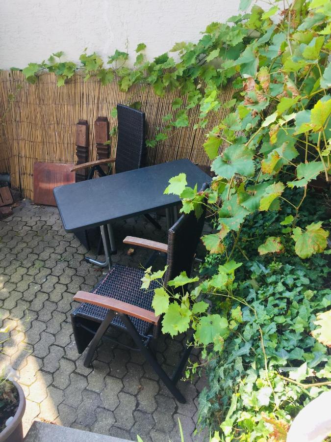 Natur Und Neckarblick Bei Heidelberg 히르슈호른 외부 사진