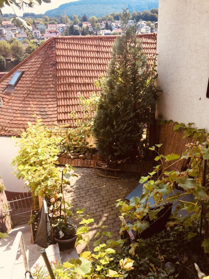 Natur Und Neckarblick Bei Heidelberg 히르슈호른 외부 사진