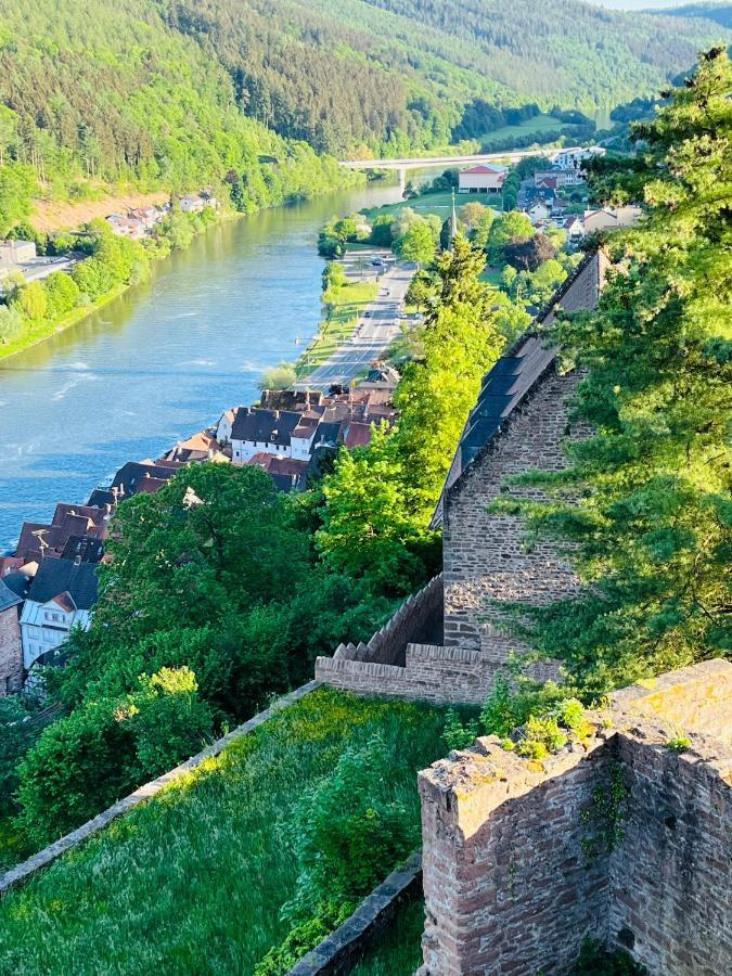 Natur Und Neckarblick Bei Heidelberg 히르슈호른 외부 사진