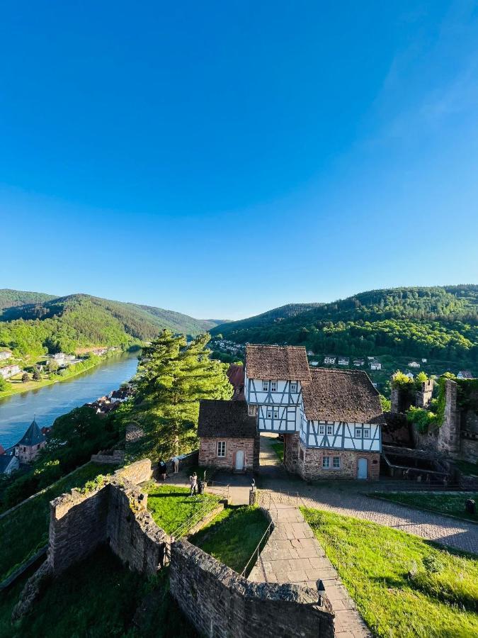 Natur Und Neckarblick Bei Heidelberg 히르슈호른 외부 사진