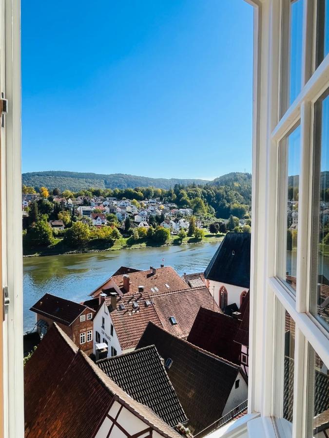 Natur Und Neckarblick Bei Heidelberg 히르슈호른 외부 사진