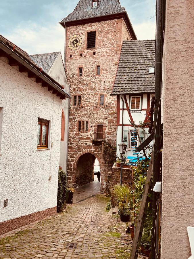 Natur Und Neckarblick Bei Heidelberg 히르슈호른 외부 사진
