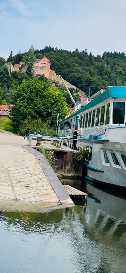 Natur Und Neckarblick Bei Heidelberg 히르슈호른 외부 사진