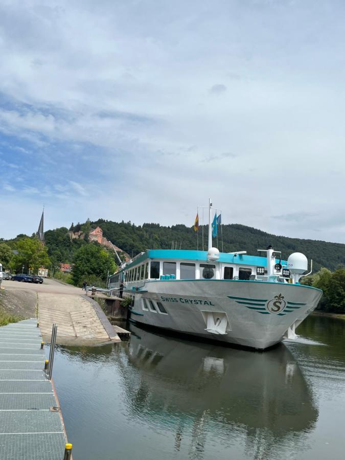 Natur Und Neckarblick Bei Heidelberg 히르슈호른 외부 사진