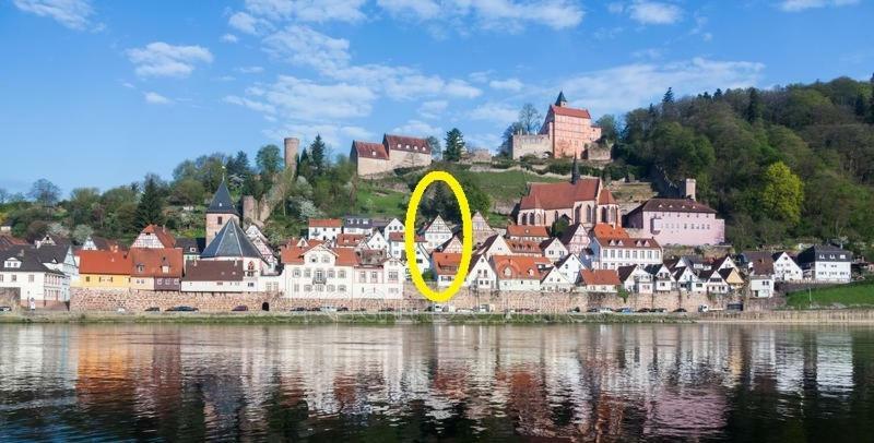 Natur Und Neckarblick Bei Heidelberg 히르슈호른 외부 사진