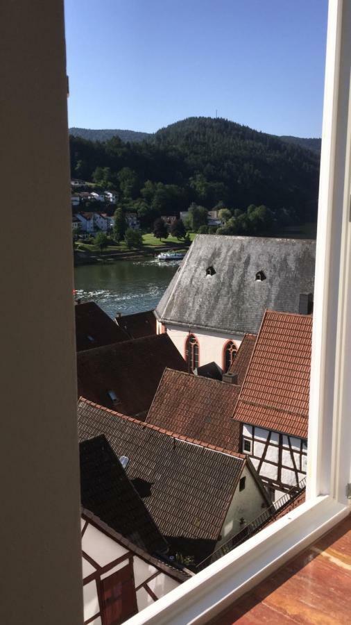Natur Und Neckarblick Bei Heidelberg 히르슈호른 외부 사진