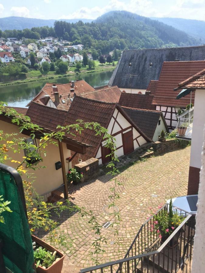 Natur Und Neckarblick Bei Heidelberg 히르슈호른 외부 사진