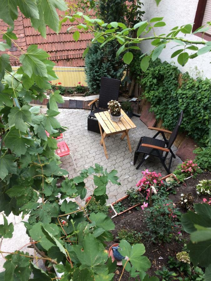 Natur Und Neckarblick Bei Heidelberg 히르슈호른 외부 사진